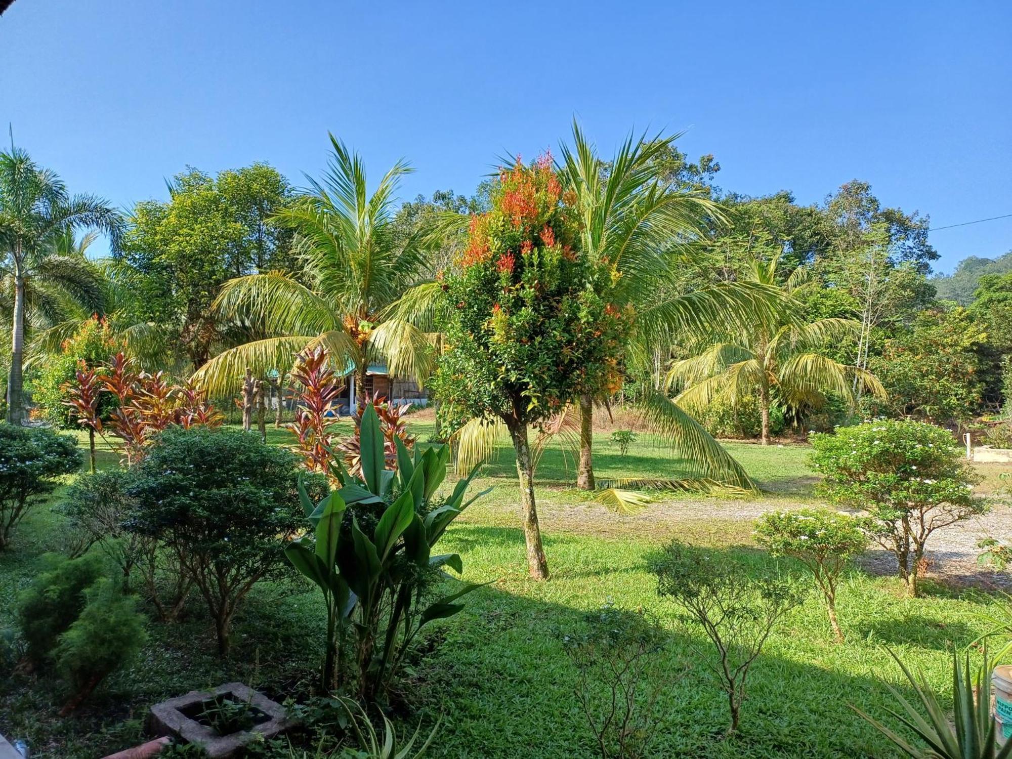 Hotel Lemuni Retreat & Training Centre - Kerling, Selangor Esterno foto